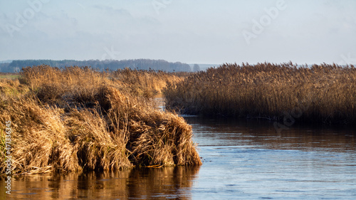 Jesień w Dolinie Narwi, Podlasie, Polska