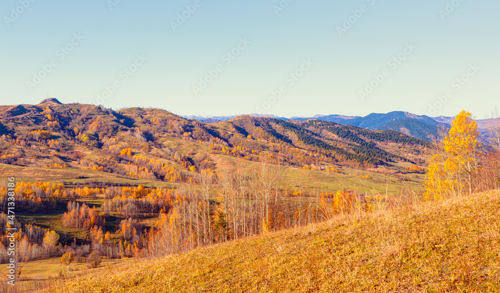 Obraz premium Panoramic view of Savsat highlands on a beautiful autumn day - Scenic image of forest landscape at sunny day - Autumn colorful landscape with colorful tree - Savsat, Artvin