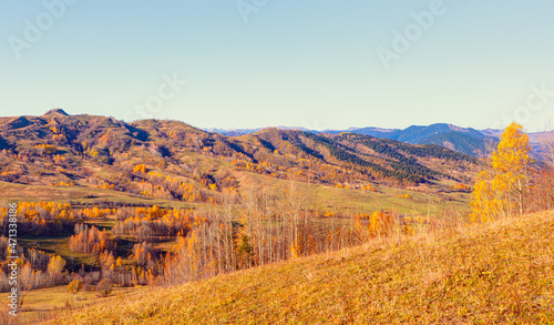 Panoramic view of Savsat highlands on a beautiful autumn day - Scenic image of forest landscape at sunny day - Autumn colorful landscape with colorful tree - Savsat, Artvin