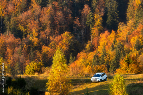 Scenic view of the autumn forest. Bright yellow and red foliage. A small white car is standing among a picturesque forest. Autumn background. Nature background concept. A clear sunny day.