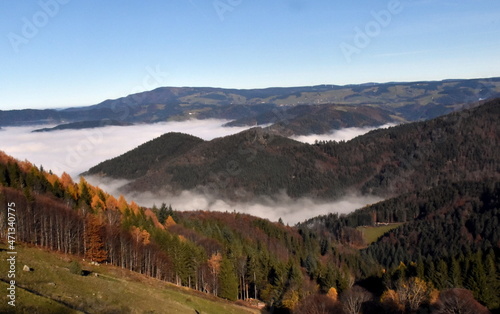 Inversionswetter im Schwarzwald im Herbst