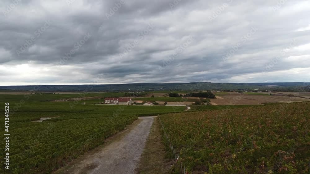 Aerial view on green grand cru chardonnay grape vineyards in Champagne near Cramant Aerial view on green grand cru chardonnay grape vineyards in Champagne near Cramant