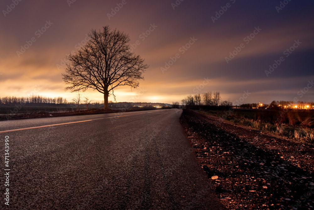 a lonely tree standing by the road at night