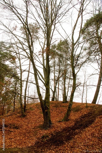 jesień smutna pora roku photo