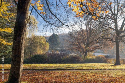 Puclic park with beautiful Autumn Colors