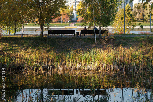 Reflection of lonely benches in the pond
