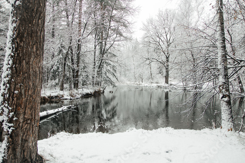 winter landscape of forests and lakes, a light layer of ice on the water, the ducks did not fly away