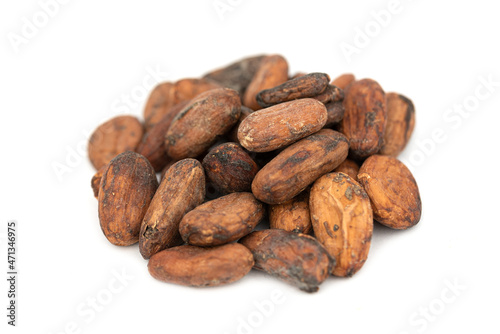 Whole cocoa nut - chocolate snack (Theobroma cacao)