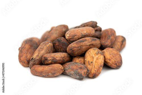 Whole cocoa nut - chocolate snack (Theobroma cacao)