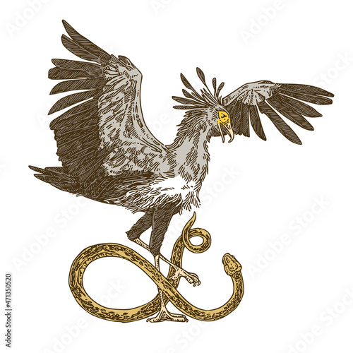 Secretary birds hunting snake. Sketch tattoo. Color. Engraving style. Vector illustration.