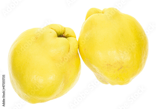 Apple quince isolated on white background