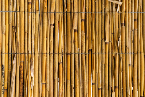 Bamboo wall background in Korcula Island. Natural yellow decorative fence. Natural fence in Croatia. Outdoor bamboo wall for garden. 
