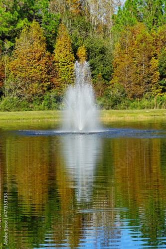 A pond in a community of Florida 