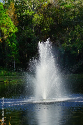 A pond in a community of Florida 