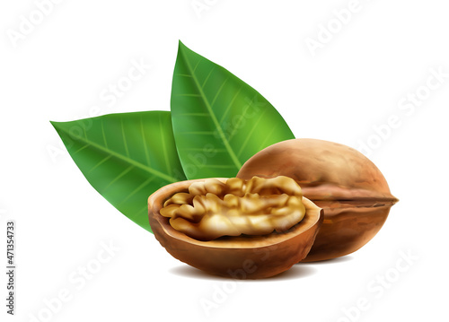 3d realistic vector icon. Walnuts in the shell whole and cut in half with leaves. Isolated on white.