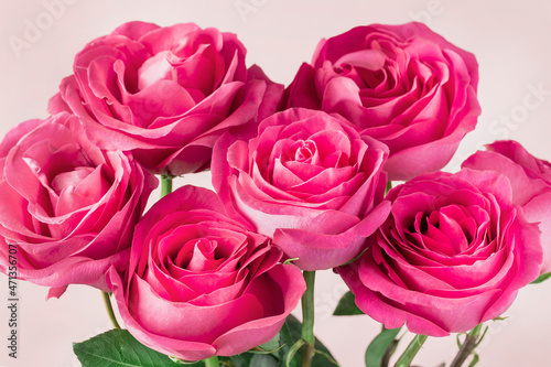 bunch of pink roses and with copy space onl ight  bokeh background