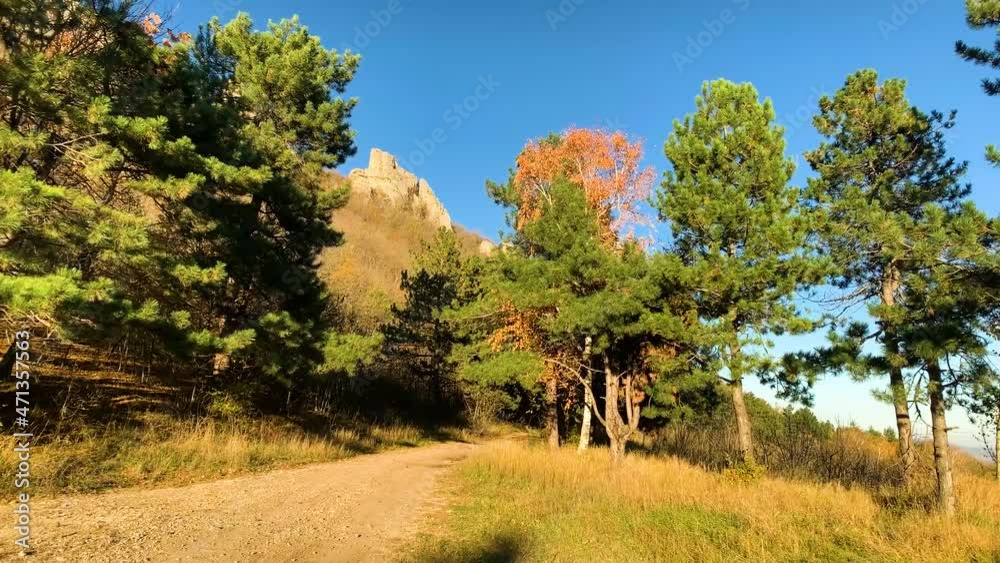 A picturesque glade in the forest under the mountain rocks. Landscape and nature of the North Caucasus
A picturesque glade in the forest under the mountain rocks. Landscape and nature of the North Caucasus
