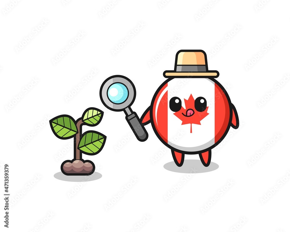 cute canada flag herbalist researching a plants cute canada flag herbalist researching a plants
