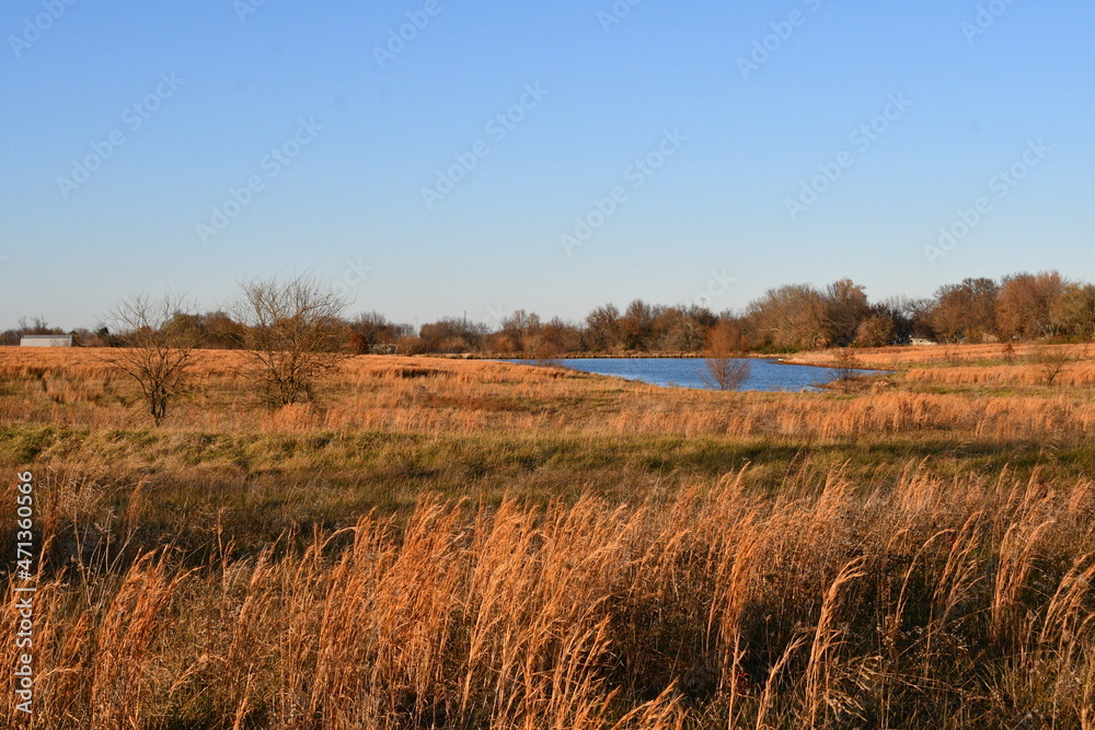 Field with a Lake