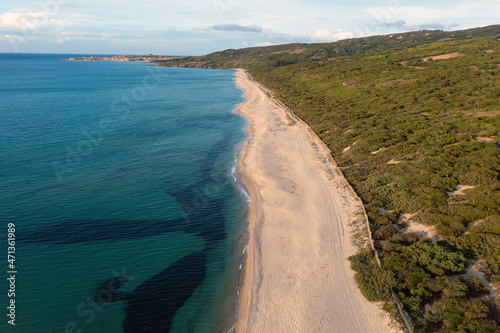 Wallpaper Mural Untouched sandy beach, crystal clear seawater, and the green coast of Mediterranean scrubs. Torontodigital.ca