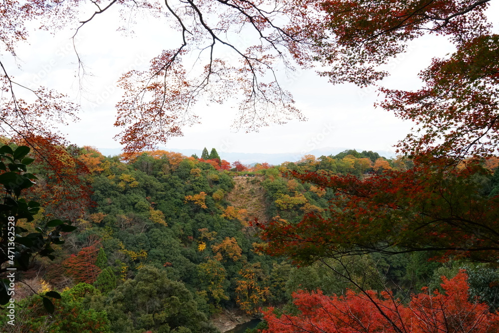 秋の嵐山の紅葉