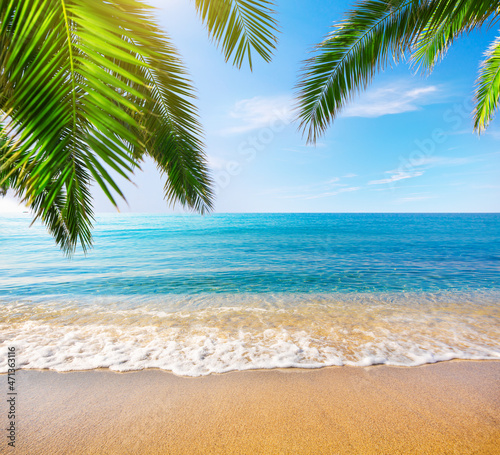 Fototapeta Naklejka Na Ścianę i Meble -  tropical beach with coconut palm