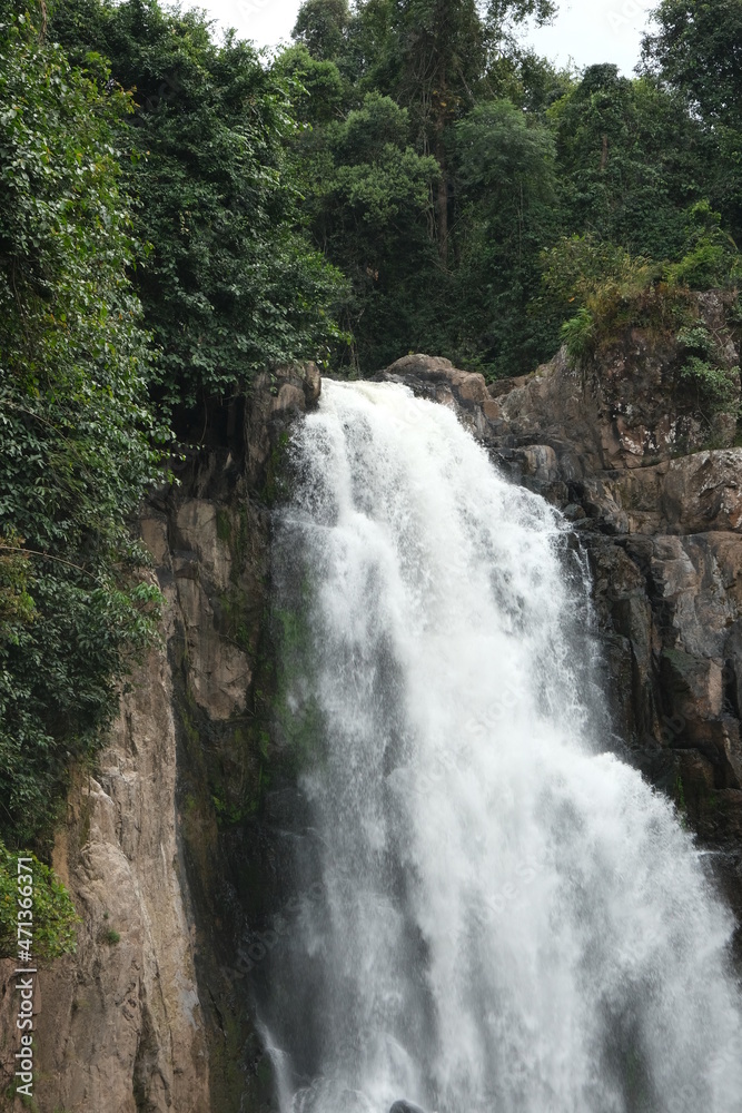 Taken at Khao Yai National Park, Thailand on vacation. nature tour