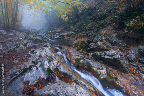 Mountain stream in the autumn forest.