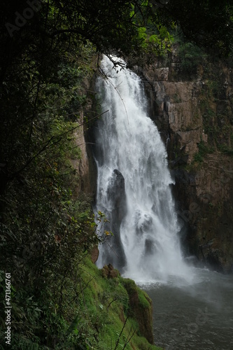 Taken at Khao Yai National Park, Thailand on vacation. nature tour