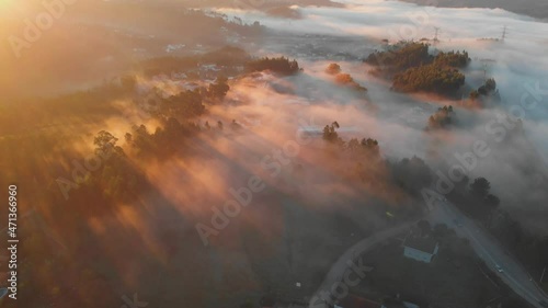 sunset rays and mist through trees