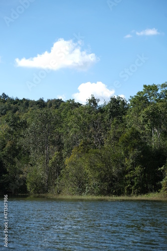 Taken at Khao Yai National Park  Thailand on vacation. nature tour