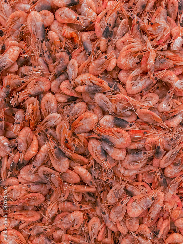 Cooked shrimp living Coral color. A corral shrimp cocktail Jumbo size. Pink chilled shrimp in the supermarket: vertical banner top view.