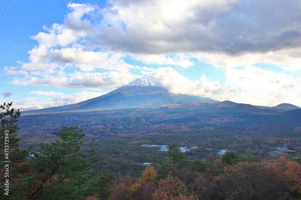紅葉台から望む富士山と樹海。