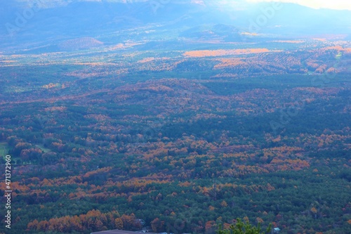 山梨県の風景。紅葉台からの眺望。紅葉に染まる山々と樹海。
