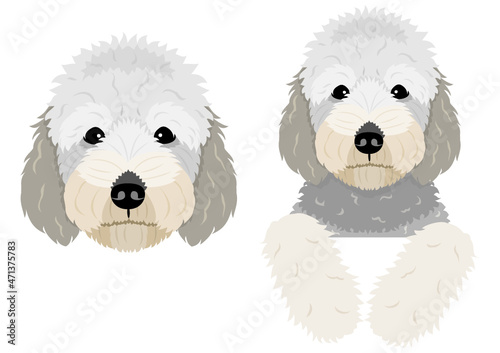 silver doodle dog head and peeking design