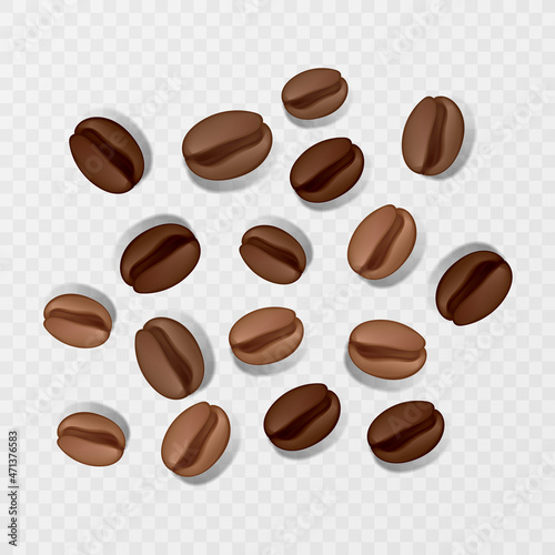 Coffee beans on transparent background, vector format