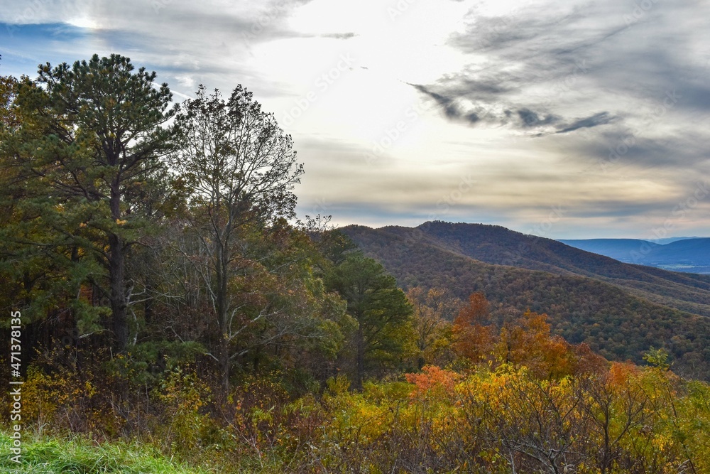 Shenandoah National Park, Virginia, USA - November 3, 2021: Mountain Scenery With Beautiful Fall Trees in the Foreground and a Bright Blue Sky in the Background Shenandoah National Park, Virginia, USA - November 3, 2021: Mountain Scenery With Beautiful Fall Trees in the Foreground and a Bright Blue Sky in the Background