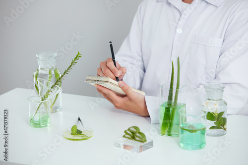 Aloe vera extract in petri dish and a white background in laboratory , green leaf in a test tube and doctor for cosmetic advertising , photography science concept