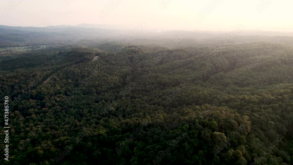 leaf, tree, aerial view, down, jungle, rain, foliage, ground, rainforest, surface, wallpaper, abstract, canopy, hill, light, national, scenic, tropical, vegetation, wild, above, detail, forestry, gree