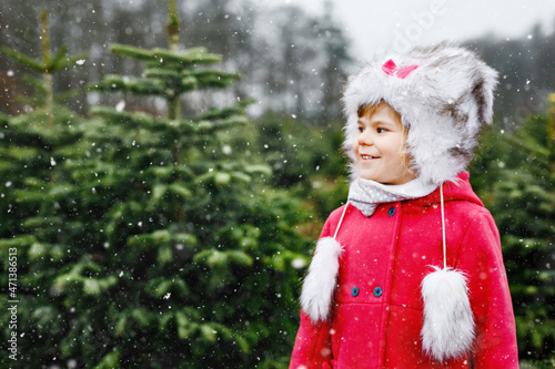 Adorable little toddler girl with Christmas tree on fir tree cutting plantation . Happy child in winter fashion clothes choosing, cut and felling own xmas tree in forest, family tradition in Germany photo