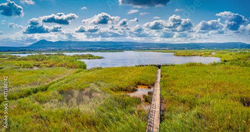 Exciting summer view from flying drone of Riserva Naturale Statale Lago di Lesina (Sacca Orientale) - nature preserve with old wooden pier. Green morning scene of Italy, Europe. photo