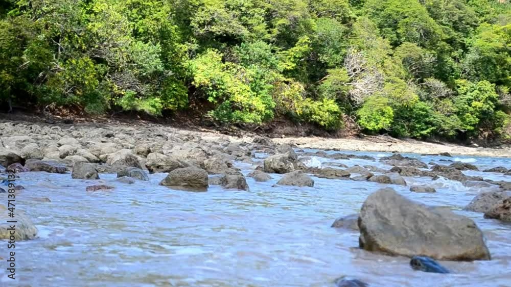 Beautiful lush shoreline of Costa Rica's west coast captured in full HD. Low angle close to the water on Playa Conchal while small waves crash on rocks with tropical forest in background.