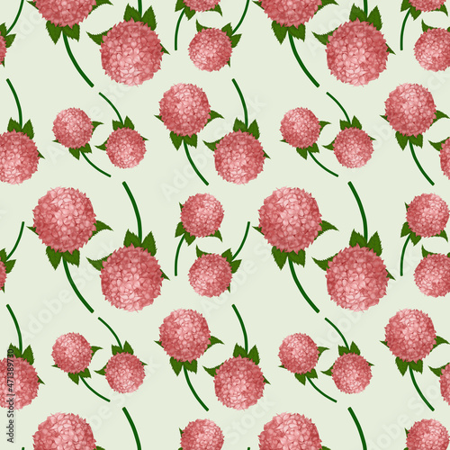 Hydrangea Seamless pattern Pink flowers Botanical illustration for design