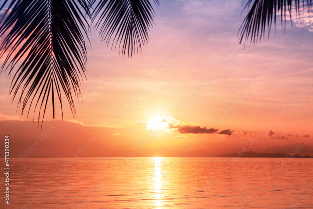 Beautiful sea sunset, morning ocean sunrise, tropical island beach, palm tree leaves silhouette, purple sky, orange clouds, yellow sun glow on water, dawn landscape, summer holidays, vacation, travel