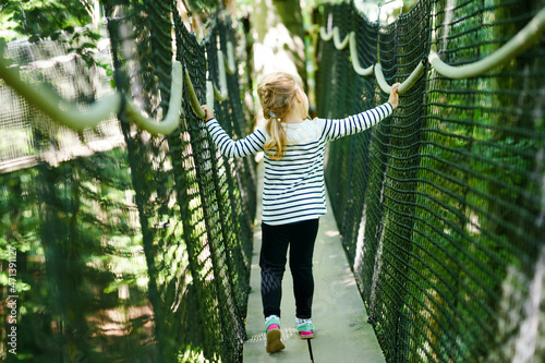 Obraz na plátně Cute little preschool girl walking on high tree-canopy trail with wooden walkway and ropeways on Hoherodskopf in Germany