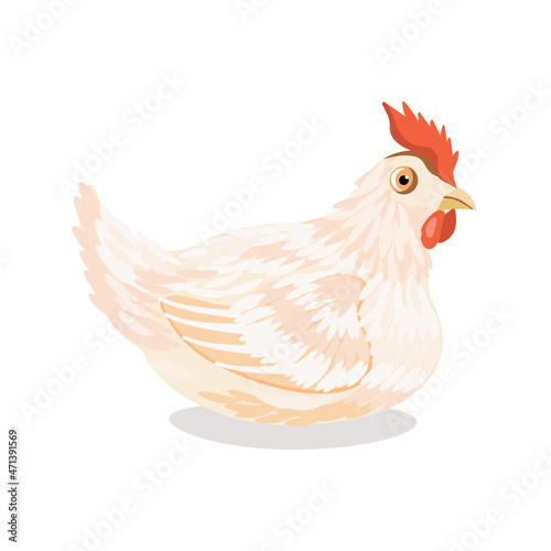 A chicken bird on a white background.Vector illustration.It can be used in textiles,farm designs,packaging.