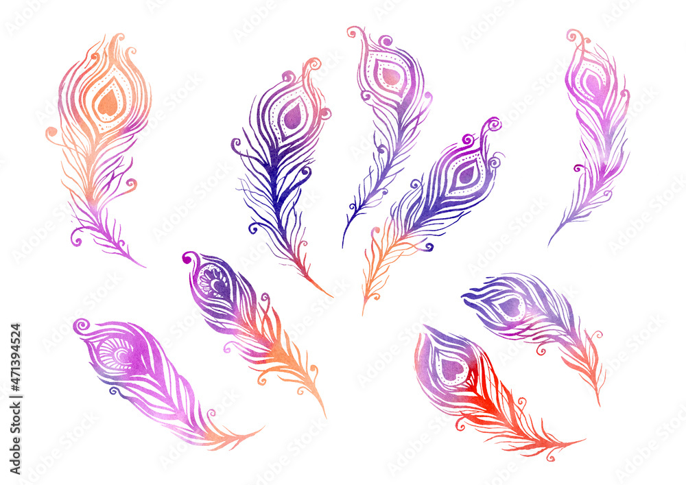Watercolor multicolor Set of birds feather elements in the style of line art wedding theme on a white background. Doodle and scribble. red, orange, violet, pink, purple colorful peacock wings feathers