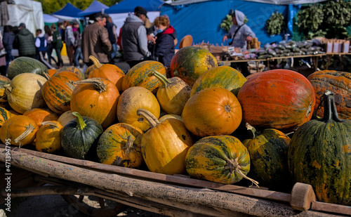 Kropivnitskiy, Ukraine - International agro-industrial exhibition AgroExpo. On the square there is an ancient cart on which a huge variety of pumpkins are laid. Harvest Festival.