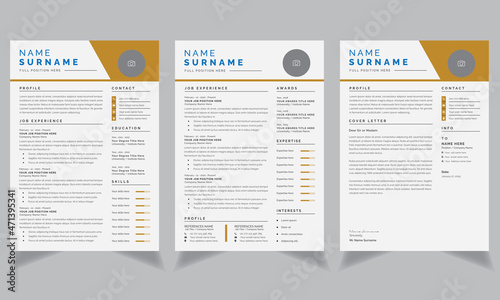Modern Resume / CV Template Marigold Accents	
