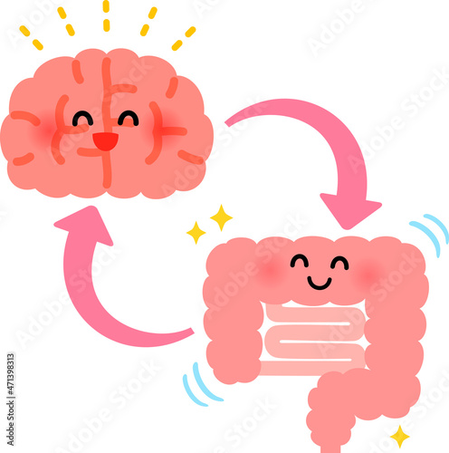 元気な脳と腸のキャラクターと循環の矢印 photo